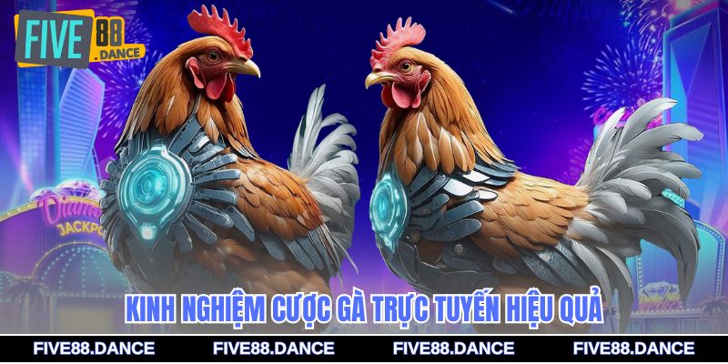 E2bet Đá Gà - Sân Chơi Cược Trực Tuyến Hấp Dẫn 3 Kinh nghiệm cược gà trực tuyến hiệu quả