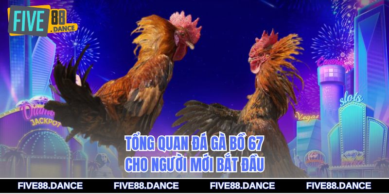 Đá Gà Bồ 67 - Bí Quyết Cá Cược Chiến Thắng 1 Tổng quan đá gà bồ 67 cho người mới bắt đầu