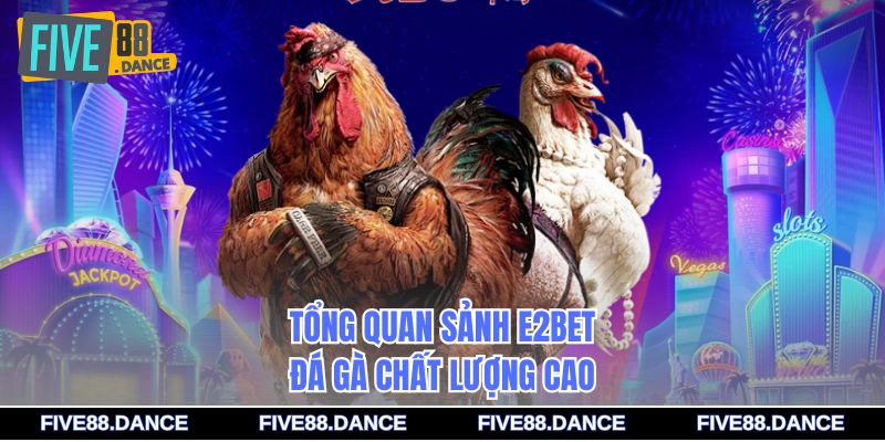 E2bet Đá Gà - Sân Chơi Cược Trực Tuyến Hấp Dẫn 1 Tổng quan sảnh E2bet đá gà chất lượng cao